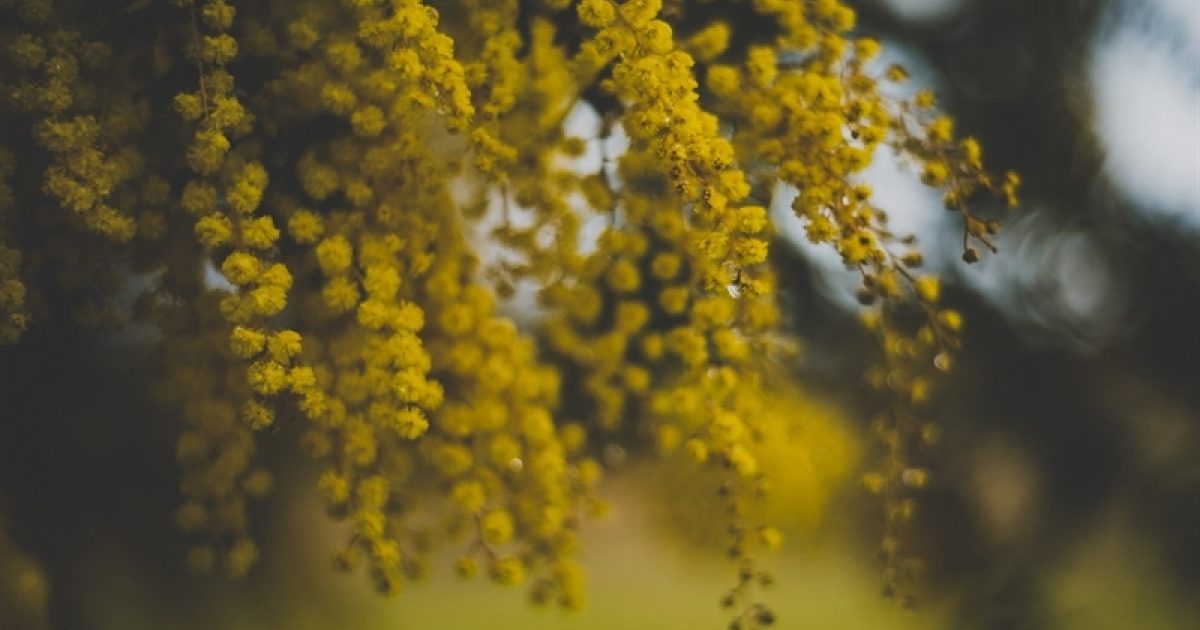 New Qld Environmental Protection Act powers… HopgoodGanim Lawyers