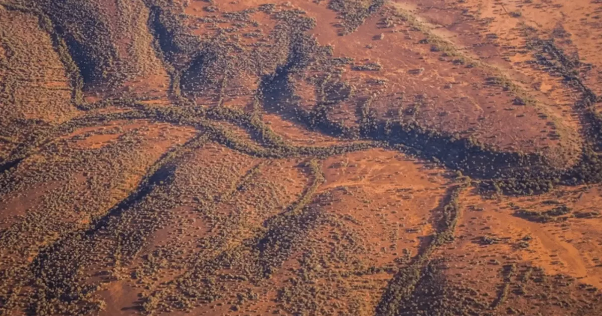 Queensland passes historic Path to Treaty Act HopgoodGanim Lawyers